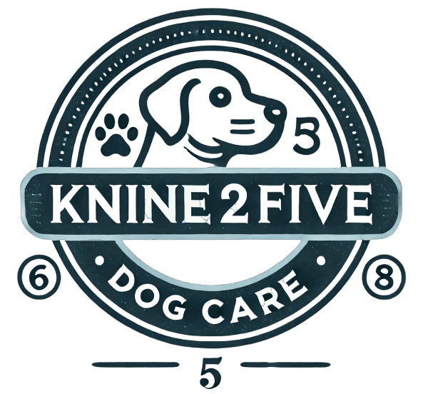 knine2five